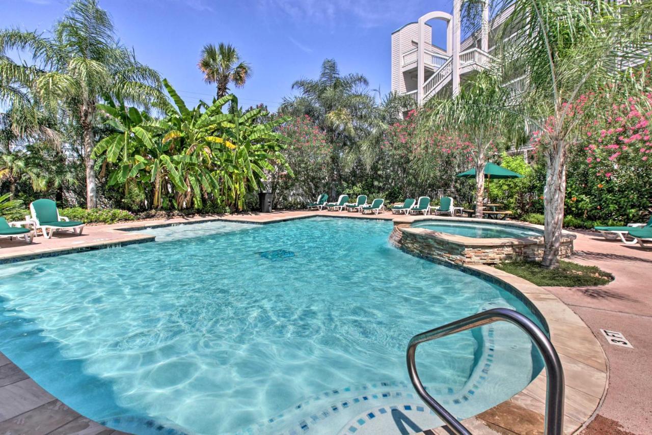 Galveston Condo With Oceanfront Views And 2 Pools מראה חיצוני תמונה
